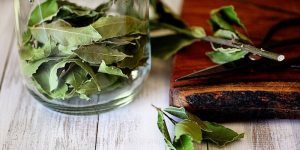 Mẹo đuổi gián bằng rau củ an toàn hiệu quả